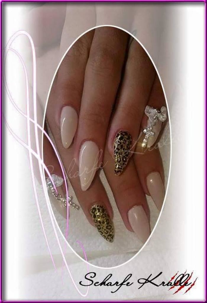 Bilder Nagelstudio Scharfe Kralle