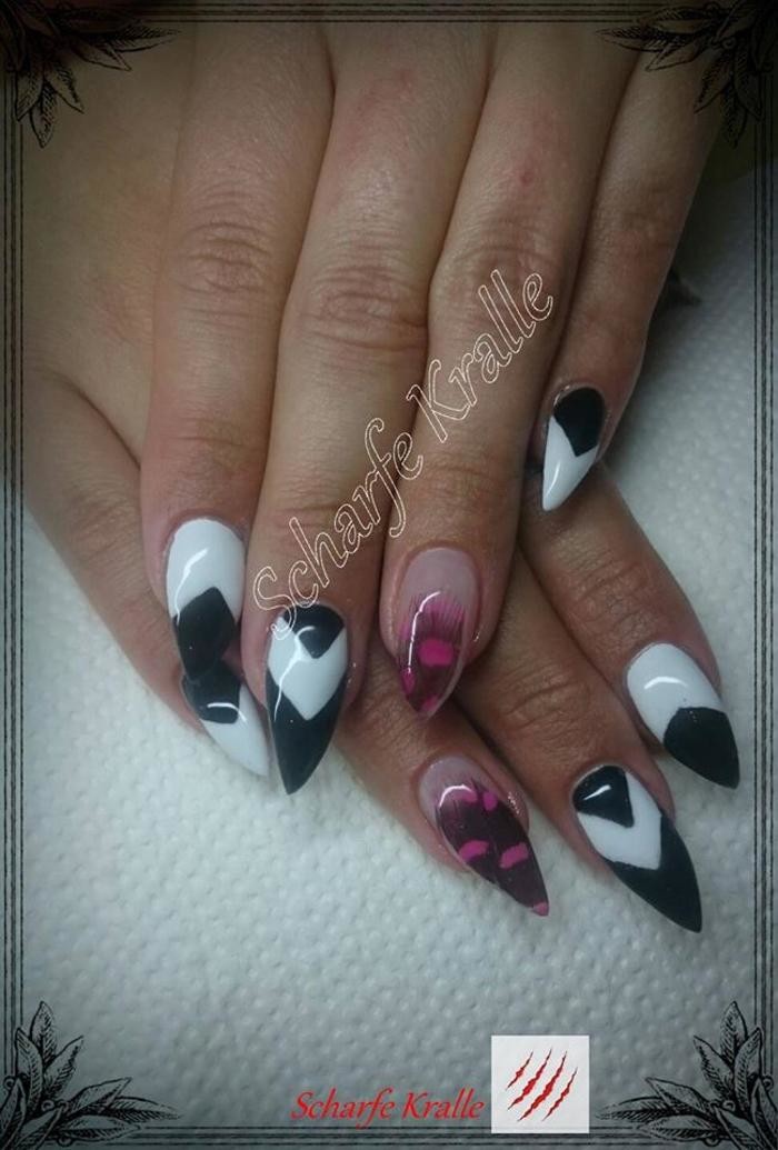 Bilder Nagelstudio Scharfe Kralle