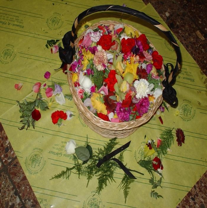 Bilder Blumen- und Pflanzenhaus Gärtner