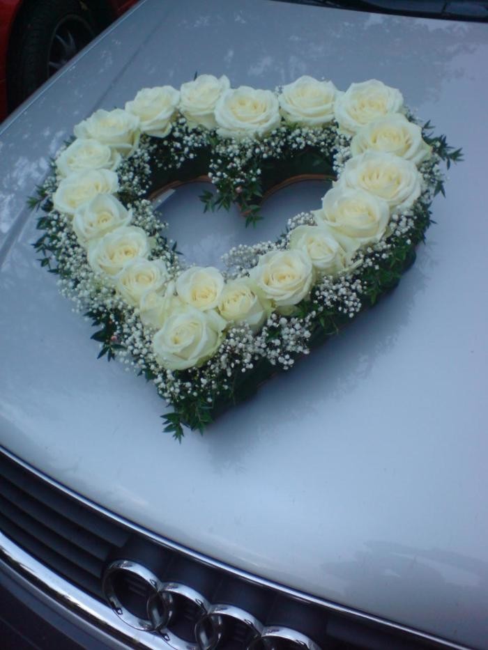 Bilder Blumen- und Pflanzenhaus Gärtner