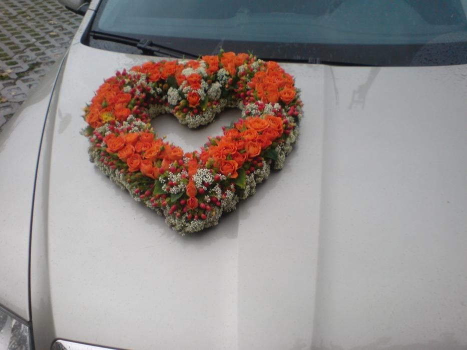 Bilder Blumen- und Pflanzenhaus Gärtner