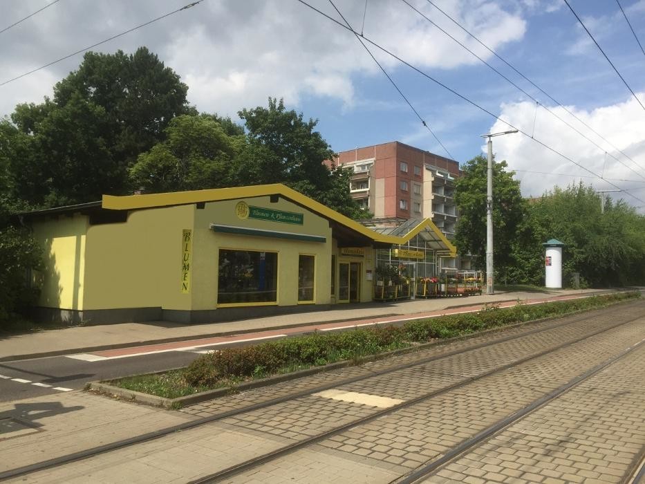 Bilder Blumen- und Pflanzenhaus Gärtner