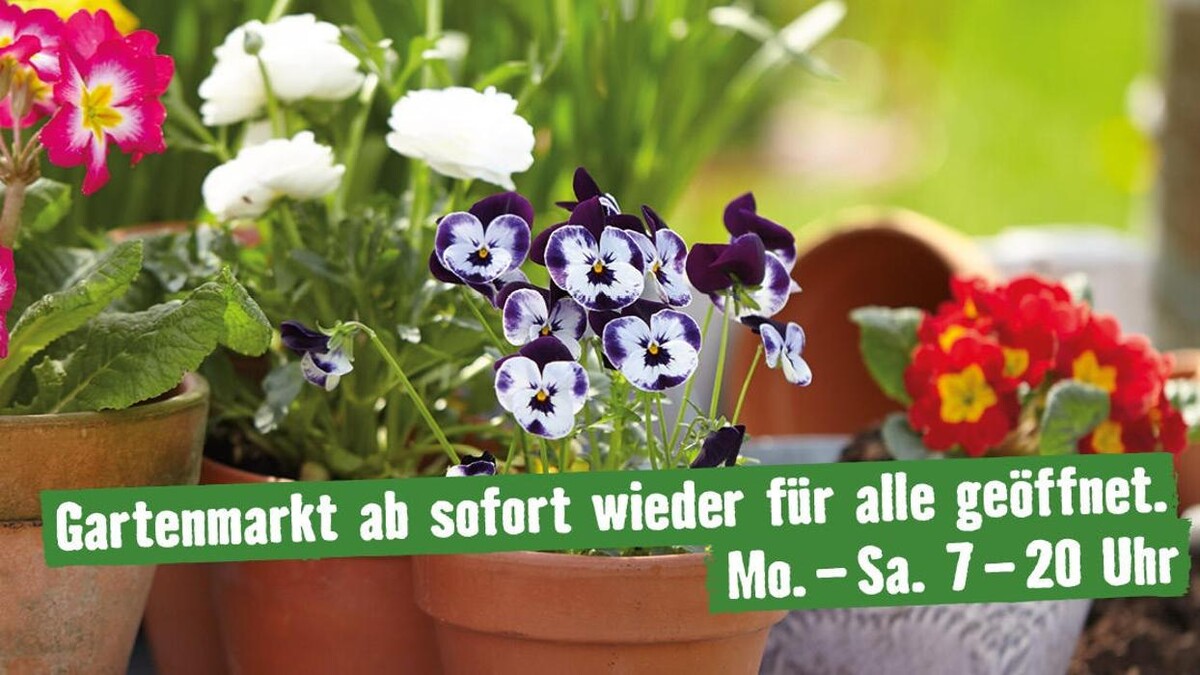 Bilder HORNBACH Lüneburg