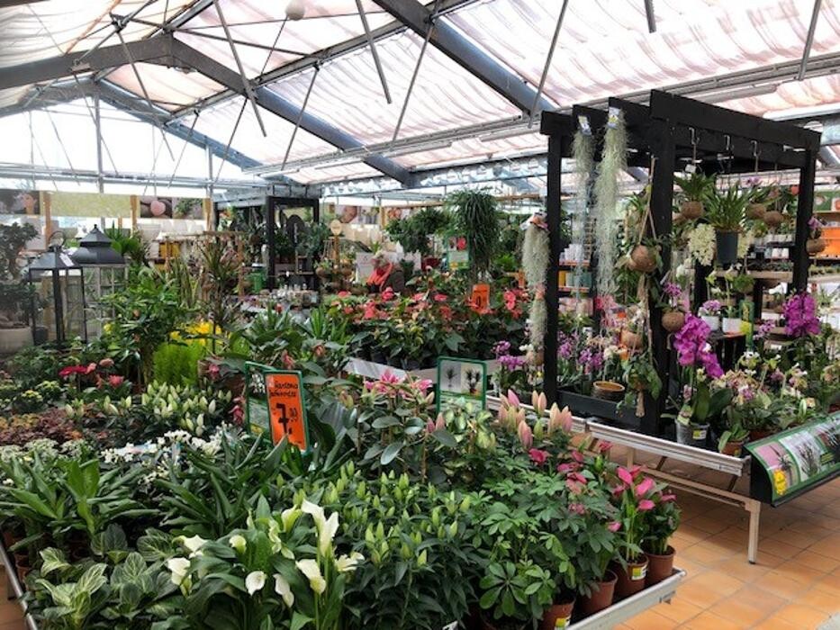 Bilder HORNBACH Passau