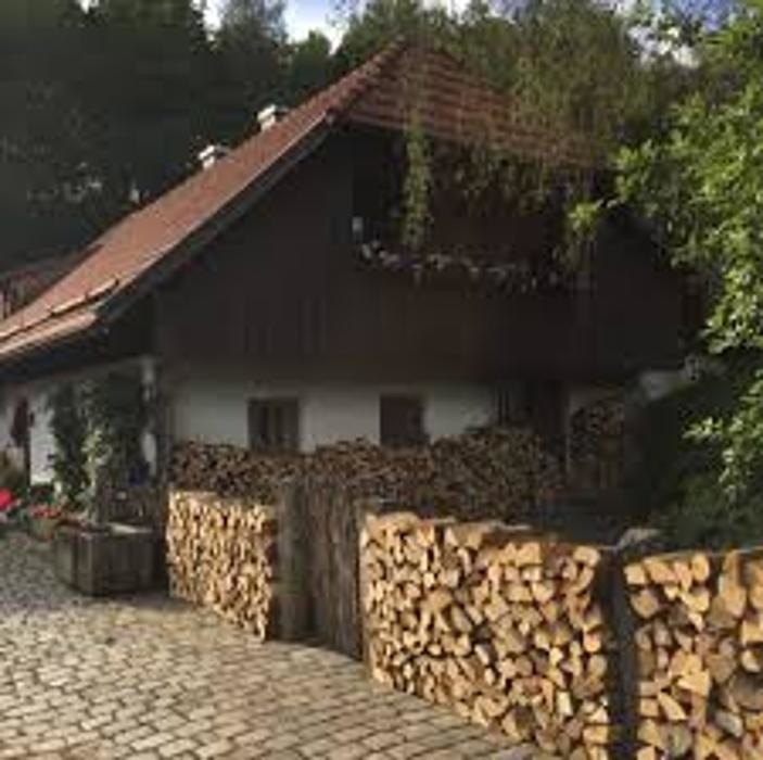 Bilder Stuberhof Auszeit im Wald.