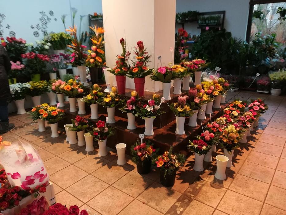 Bilder Le Blumen