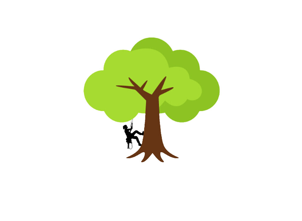 Baum&Gartenservice Meier Logo