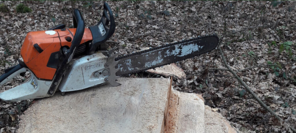 Bilder Baum&Gartenservice Meier