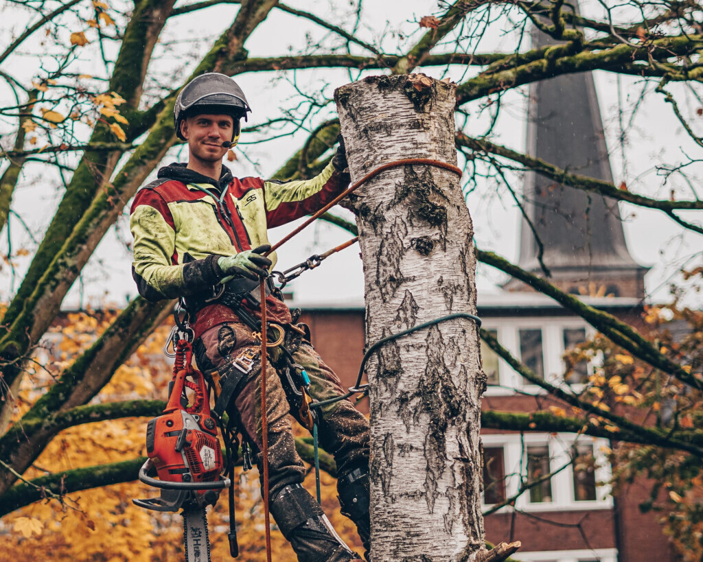 Bilder Baum&Gartenservice Meier