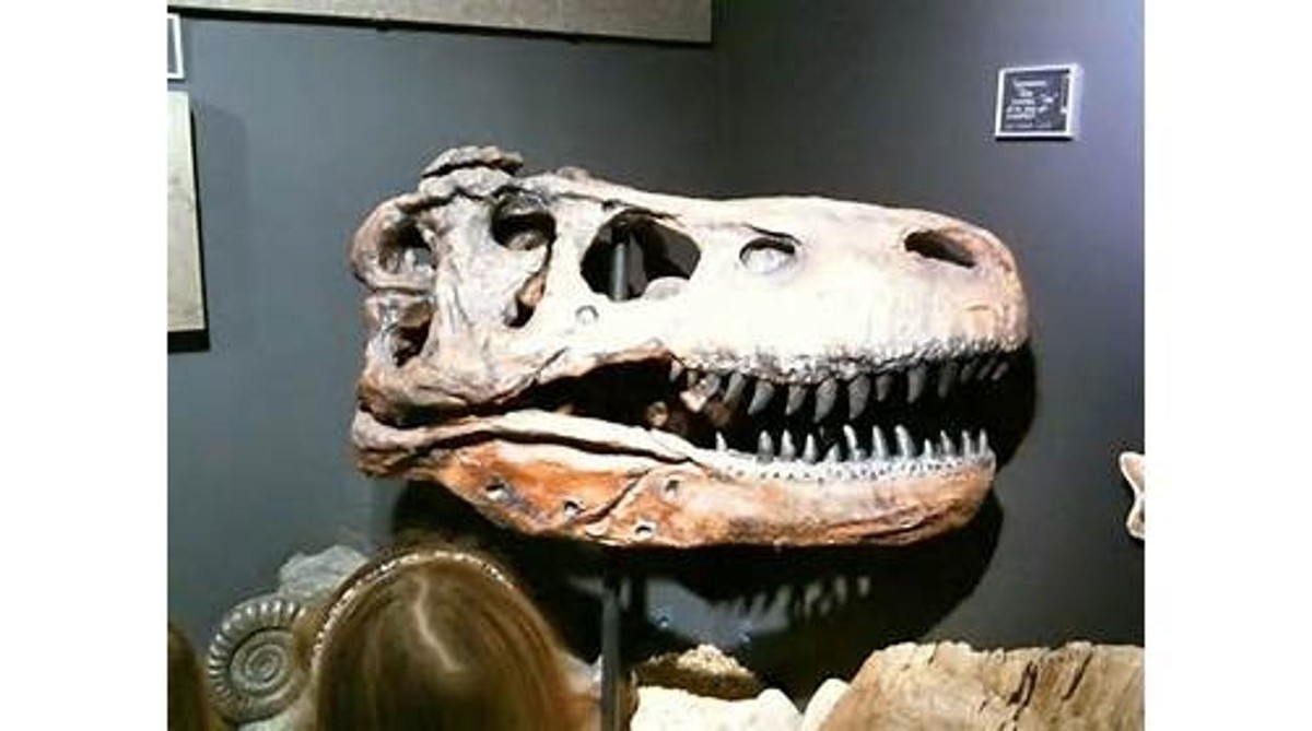 Bilder Welt der Kristalle Museum & Shop