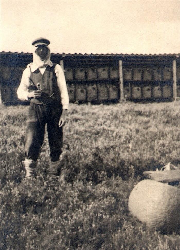 Bilder Imkerei Ahrens Deutscher Honig