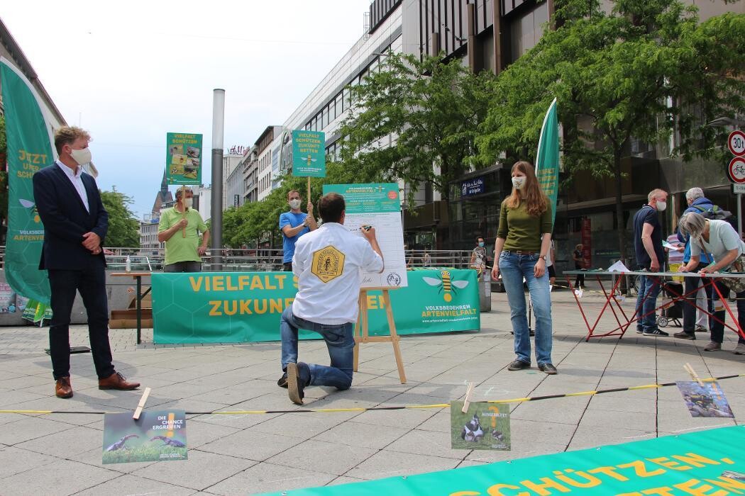 Bilder Imkerei Ahrens Deutscher Honig