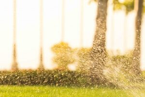 Bilder Klaus Frohberg Garten- und Landschaftsbau