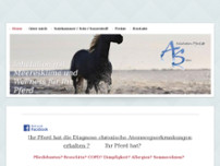 Angela Siems website screenshot