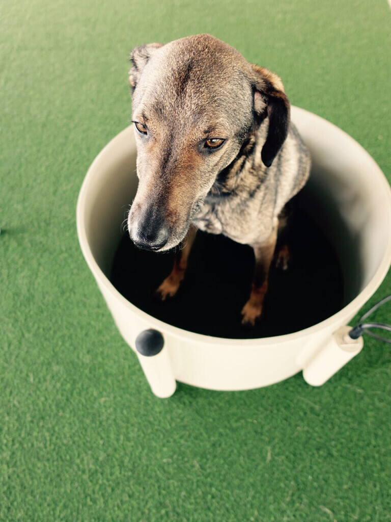 Bilder Tiergesundheitszentrum Söhl GmbH