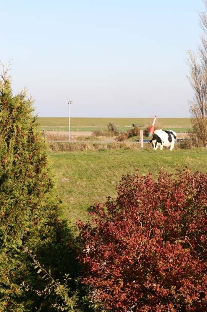 Bilder Nord-Sterne.de