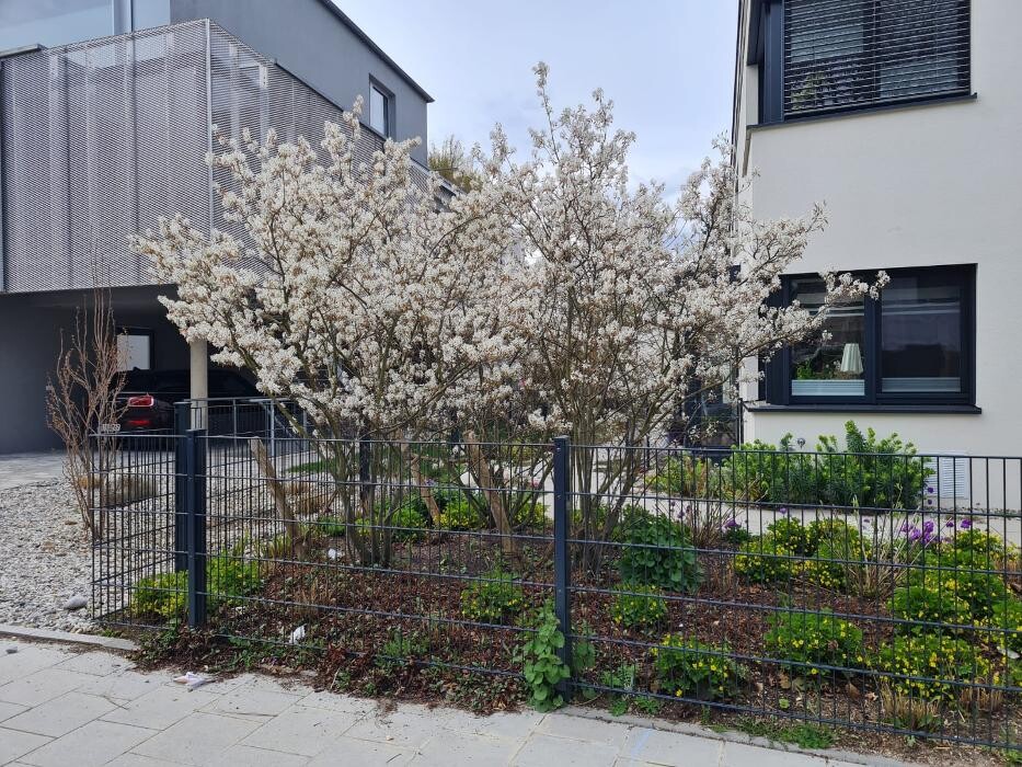 Bilder AC- Gartengestaltung