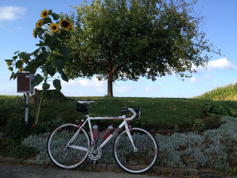 Bilder Fahrraddoktor