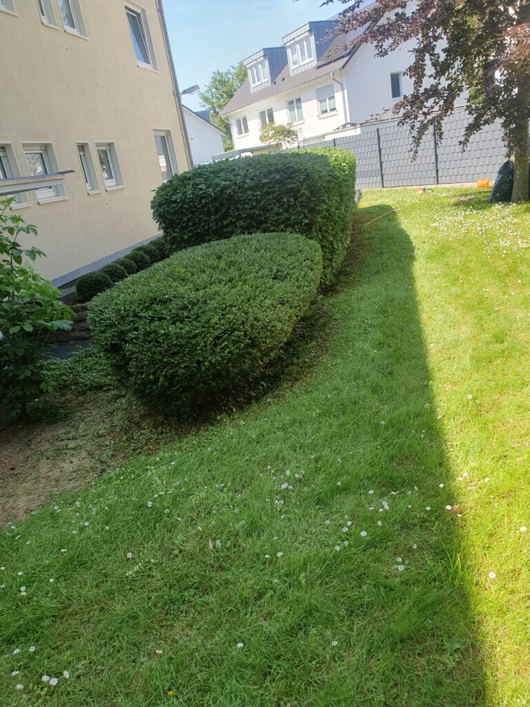 Bilder Ch-Clean - Gebäudereinigung & Objektservice