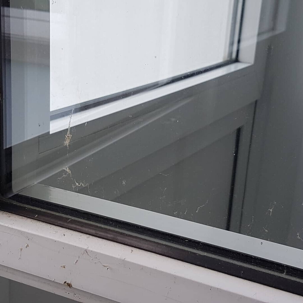 Bilder Ch-Clean - Gebäudereinigung & Objektservice