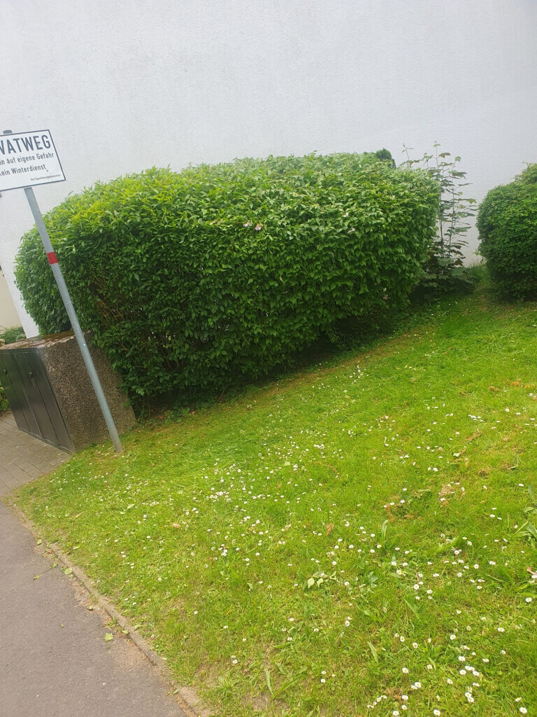 Bilder Ch-Clean - Gebäudereinigung & Objektservice