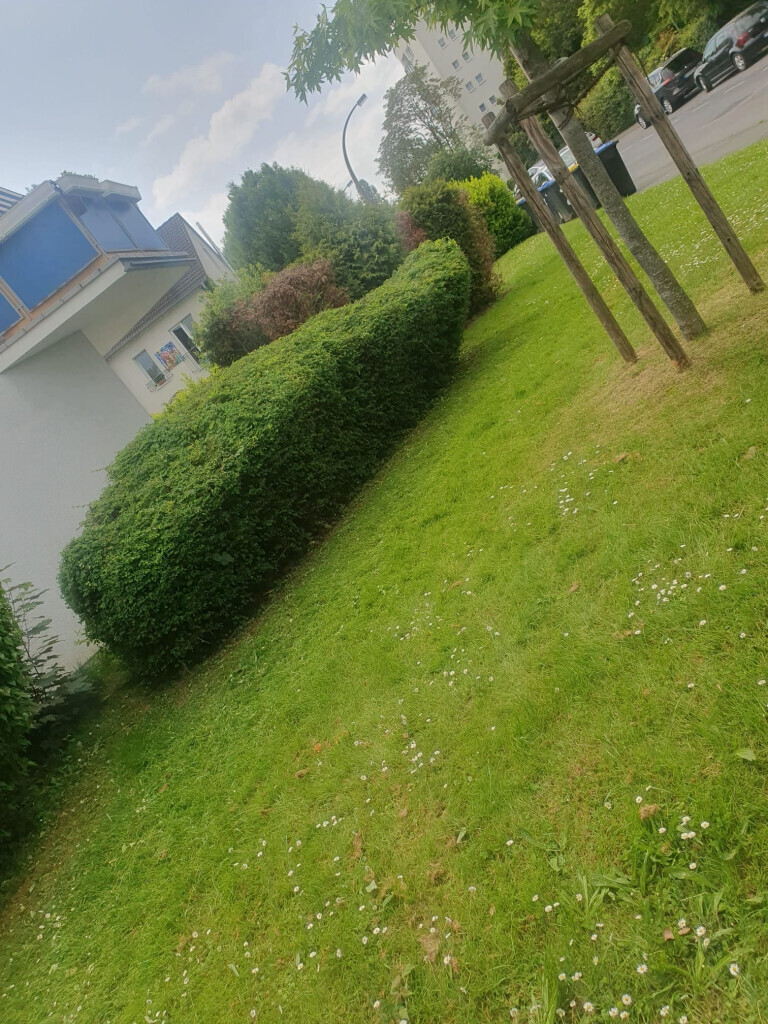 Bilder Ch-Clean - Gebäudereinigung & Objektservice