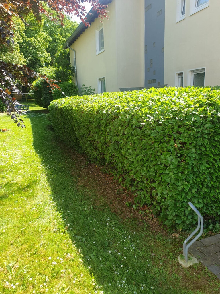 Bilder Ch-Clean - Gebäudereinigung & Objektservice