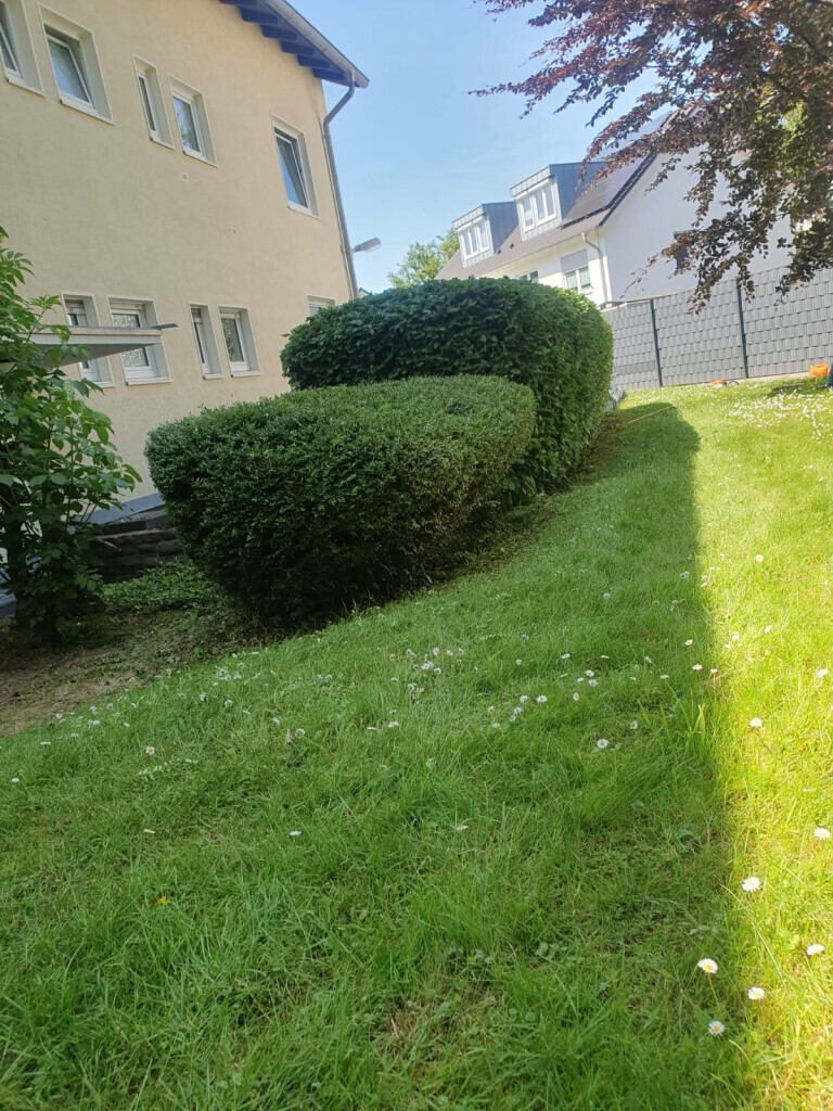 Bilder Ch-Clean - Gebäudereinigung & Objektservice