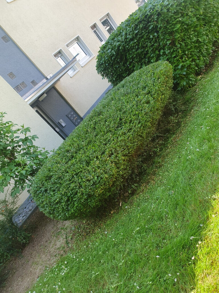 Bilder Ch-Clean - Gebäudereinigung & Objektservice