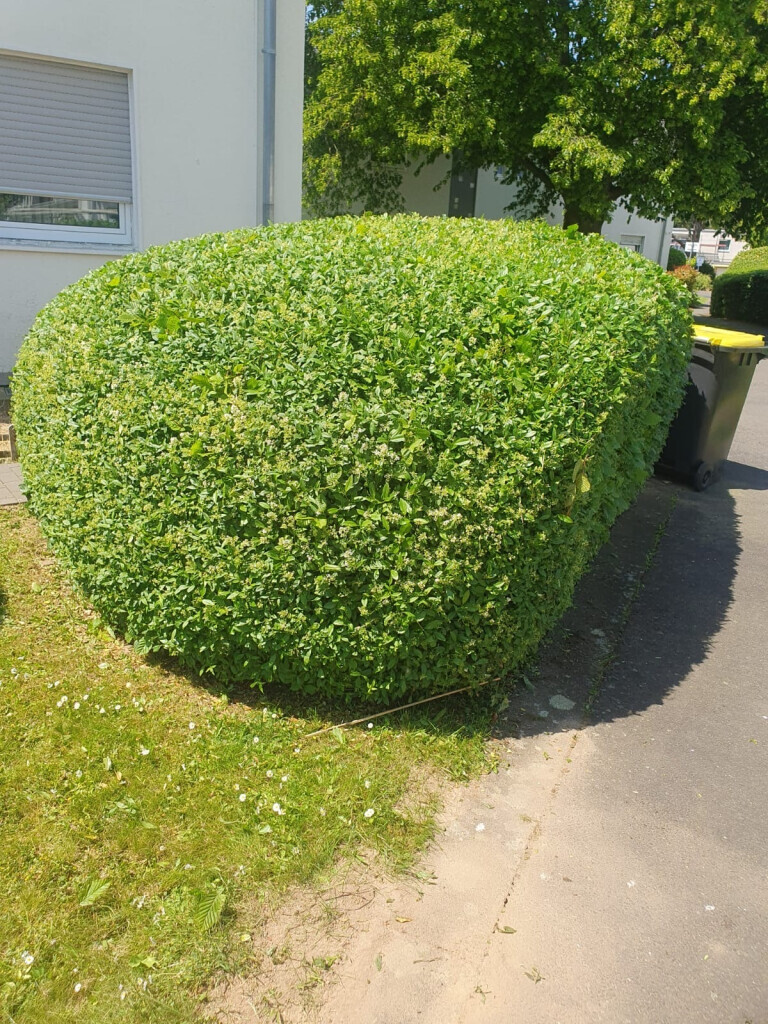 Bilder Ch-Clean - Gebäudereinigung & Objektservice