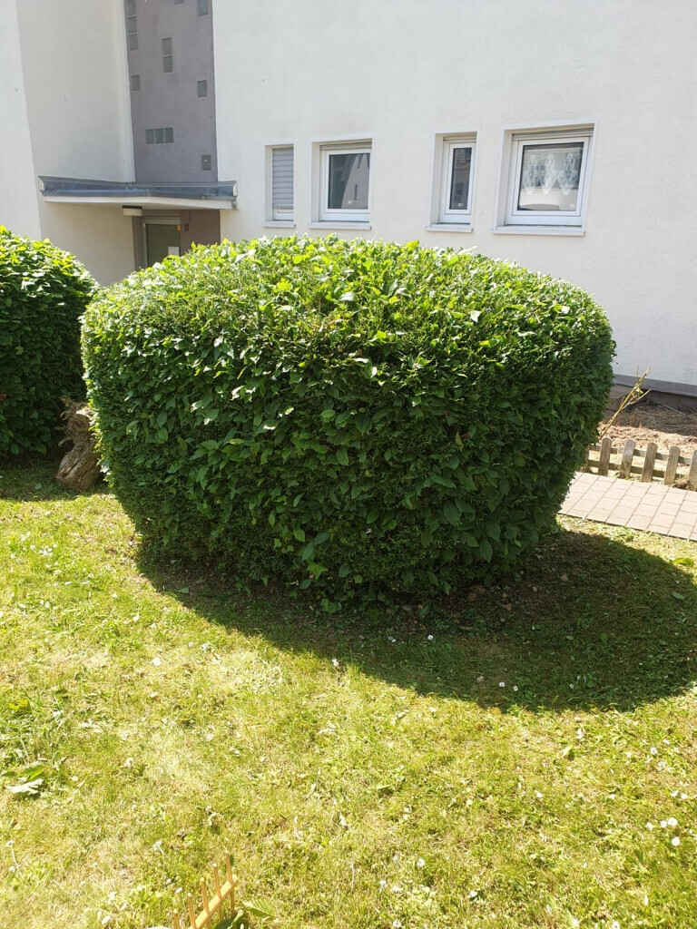 Bilder Ch-Clean - Gebäudereinigung & Objektservice