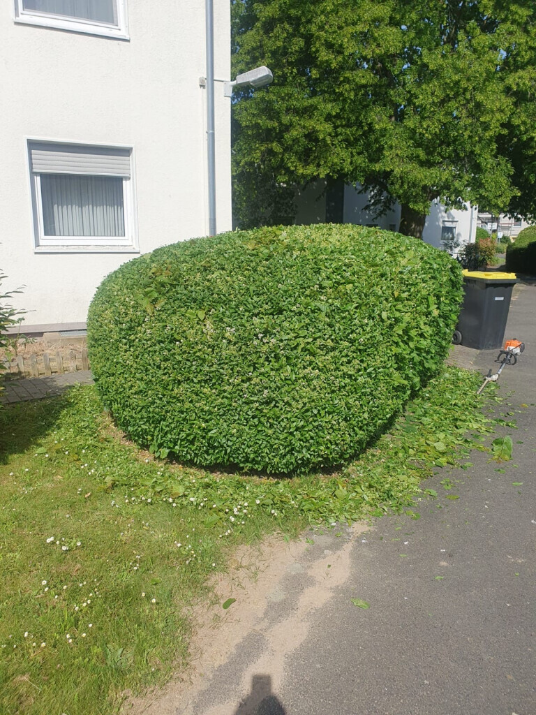 Bilder Ch-Clean - Gebäudereinigung & Objektservice