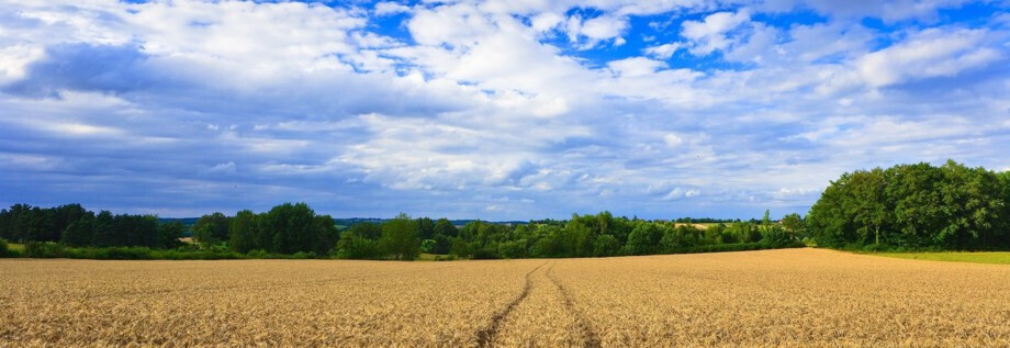 Bilder BME GmbH - Bayerische Mähdrescherersatzteile