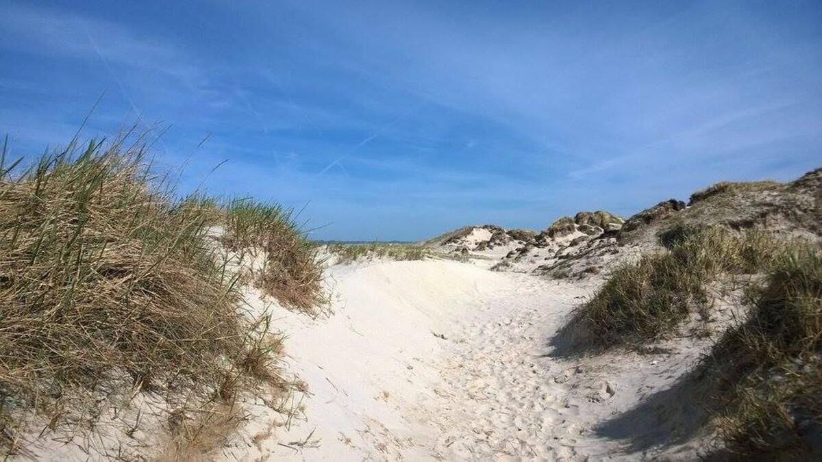 Bilder Nordsee-Urlaubszeit Appartementvermittlung