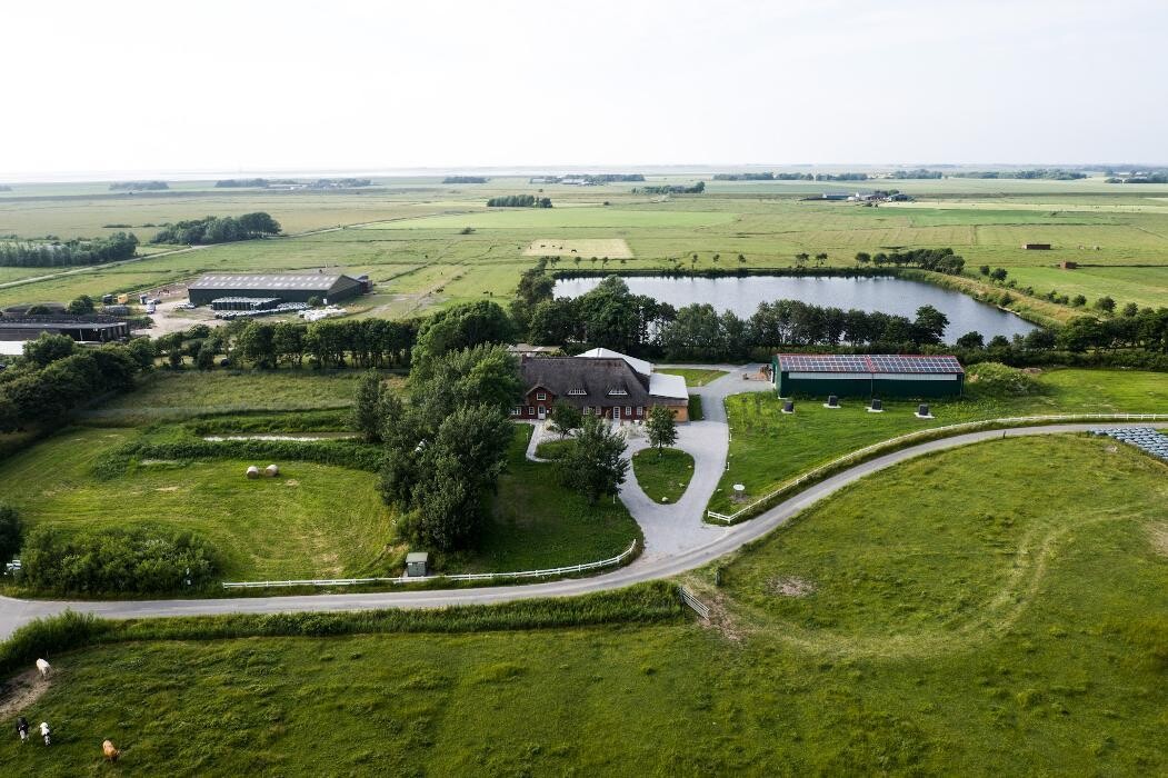 Bilder Nordsee-Urlaubszeit Appartementvermittlung