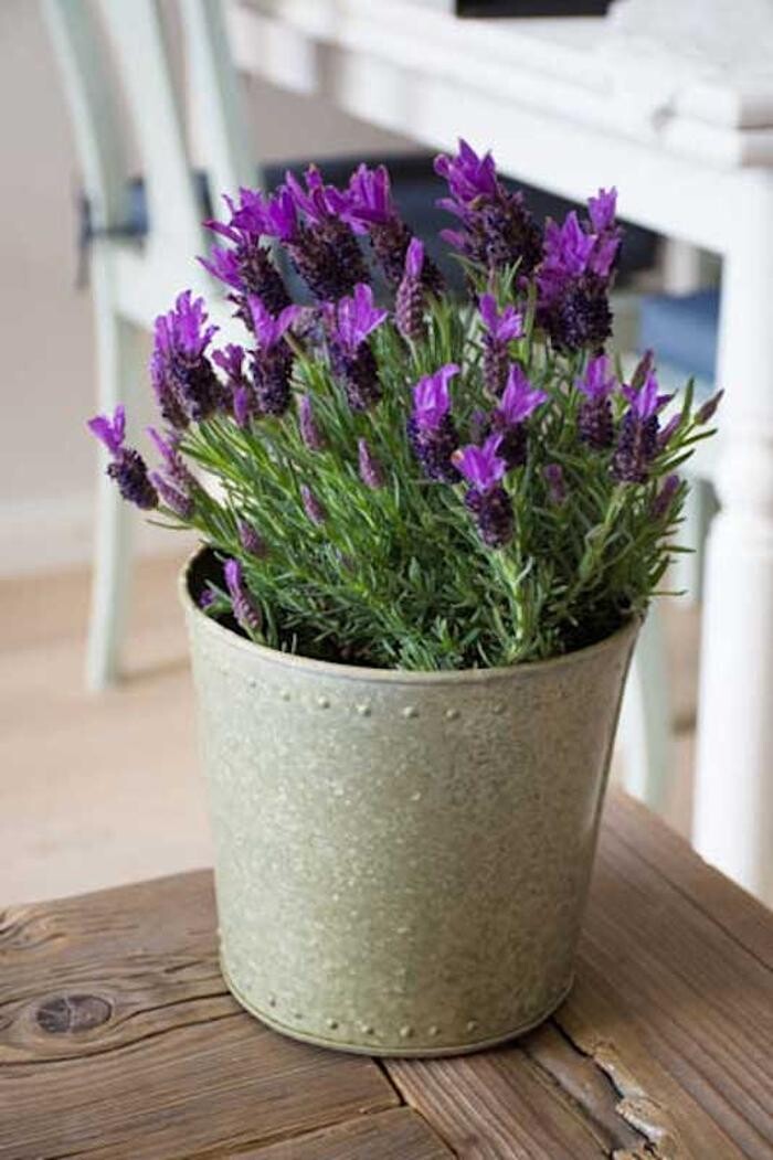 Bilder Nordsee-Urlaubszeit Appartementvermittlung