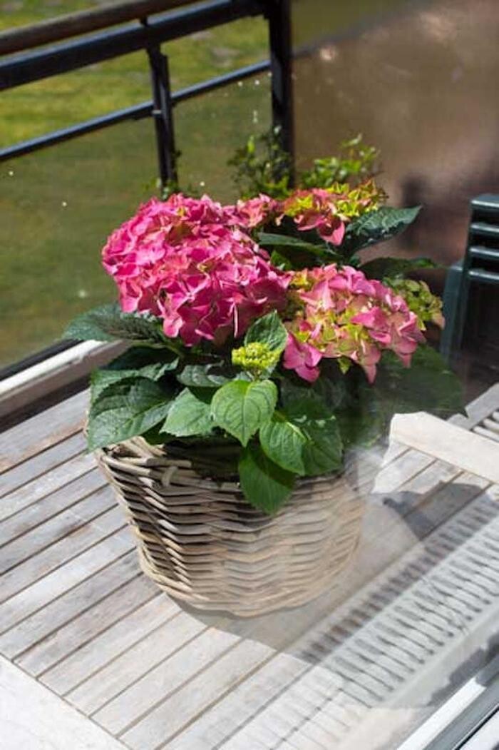 Bilder Nordsee-Urlaubszeit Appartementvermittlung