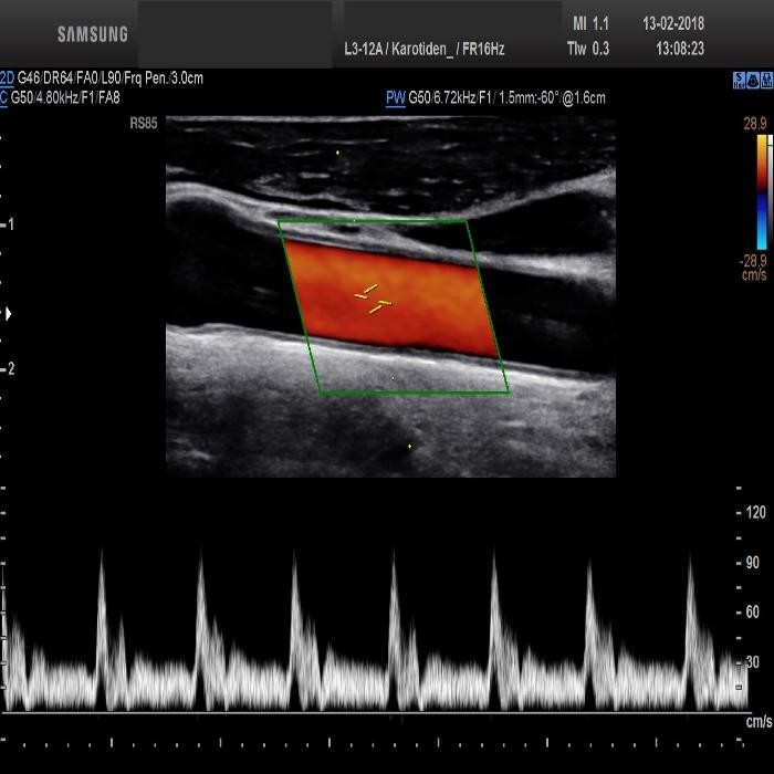 Bilder Akademie für kardiovaskulären Ultraschall GbR