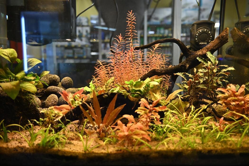 Bilder DAS FUTTERHAUS - Brake