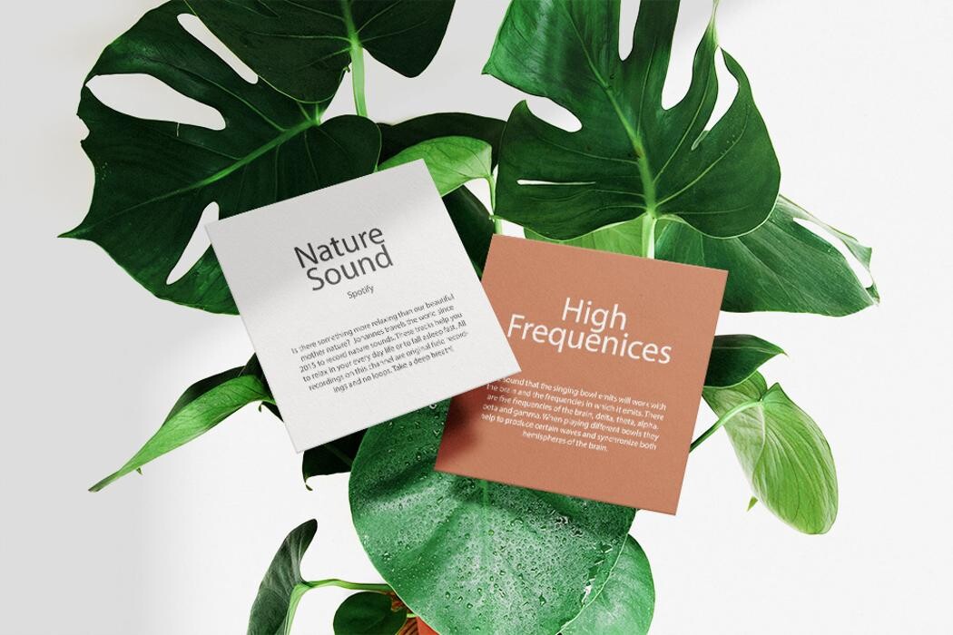 Bilder Creative Directors GmbH