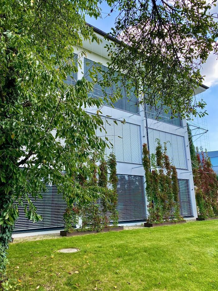 Bilder Creative Directors GmbH