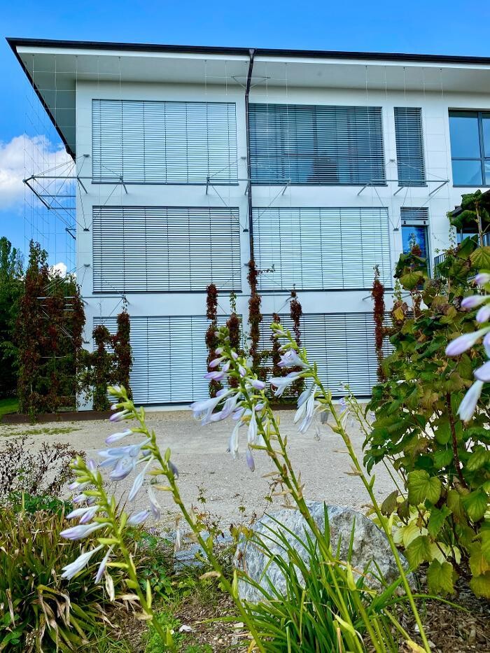 Bilder Creative Directors GmbH