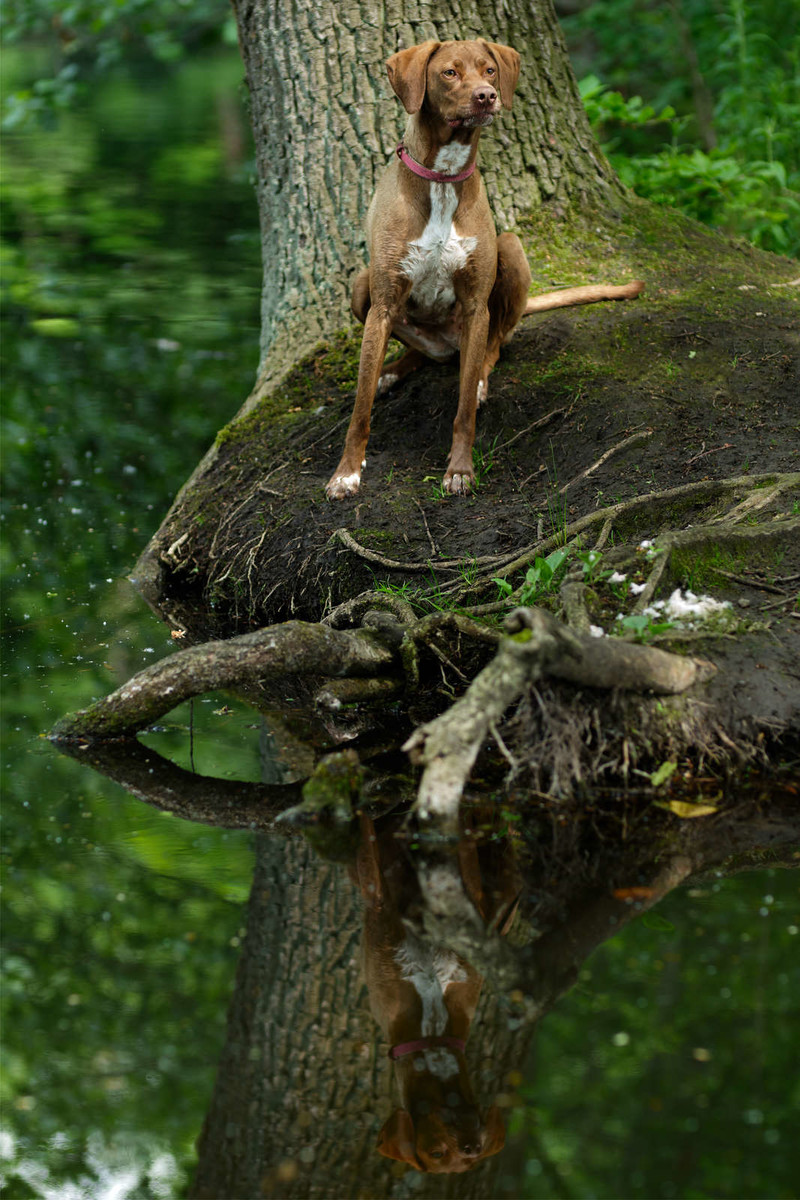 Bilder Frank Brill Fotograf