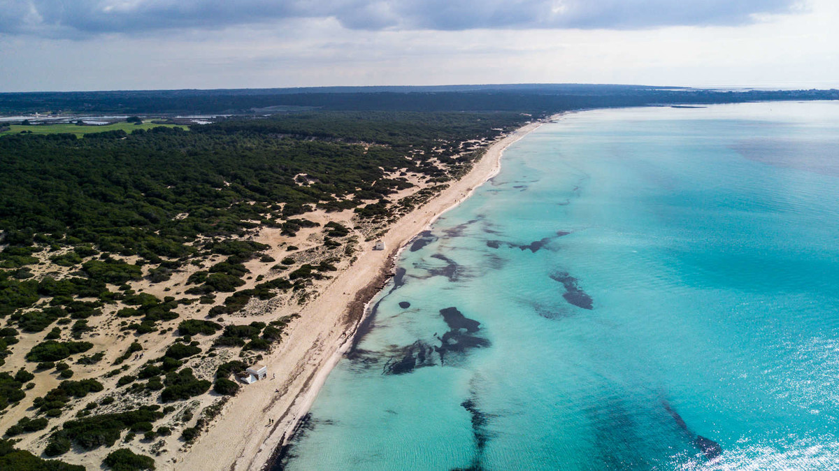 Bilder Frank Brill Fotograf