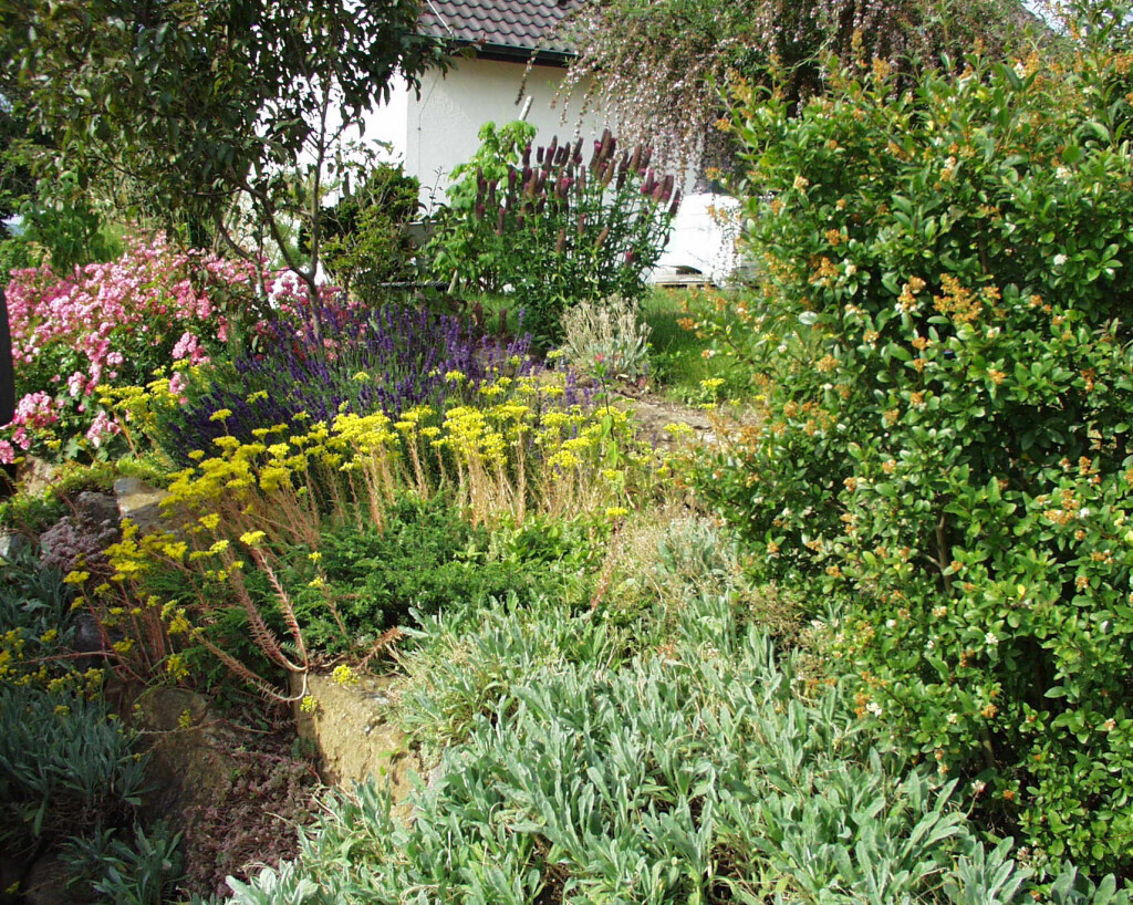 Bilder Gartengestaltung Stefan Falk