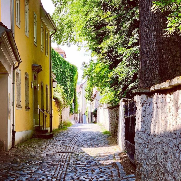 Bilder Stadtführungen Weimar - Goethe bis Bauhaus