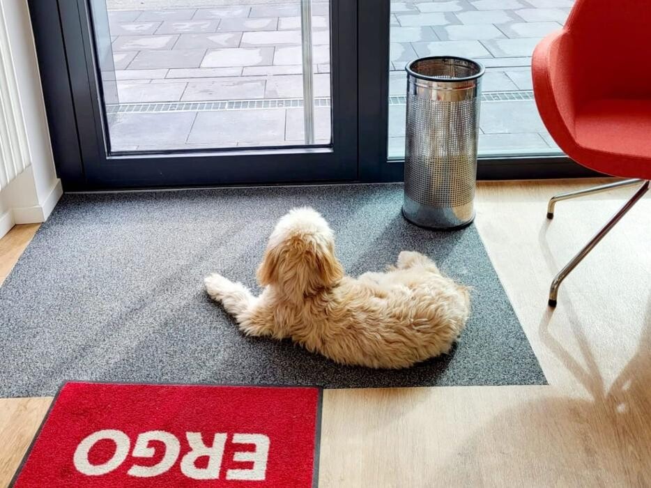 Bilder ERGO Versicherungsbüro Wunder & Kollegen