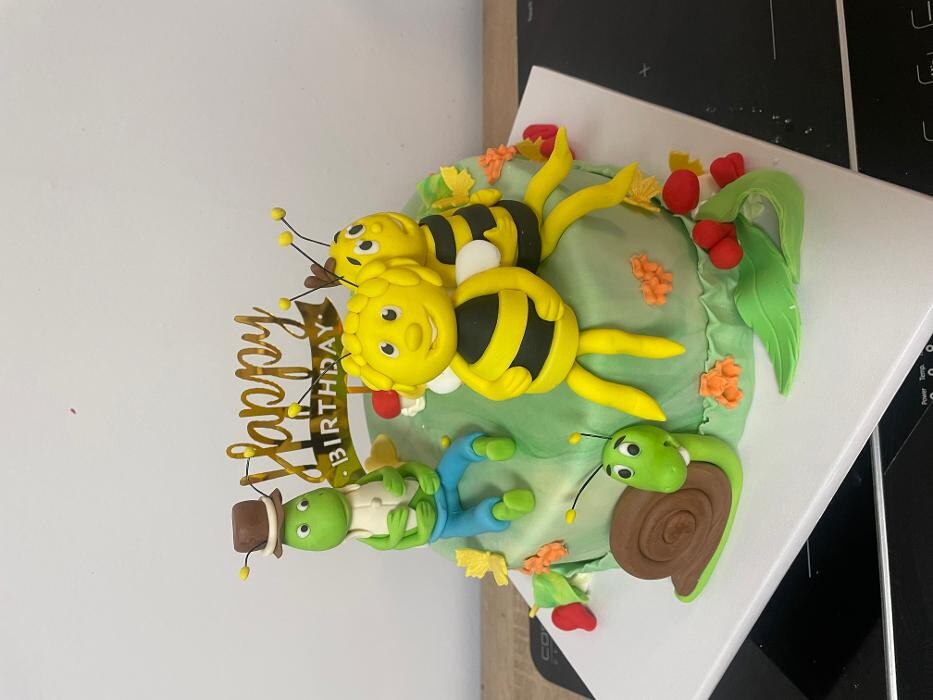 Bilder Nicole´s Tortenpassion