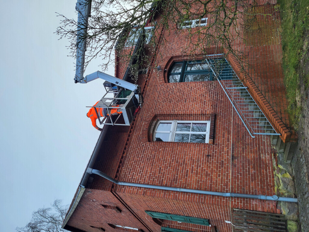 Bilder Baumpflege