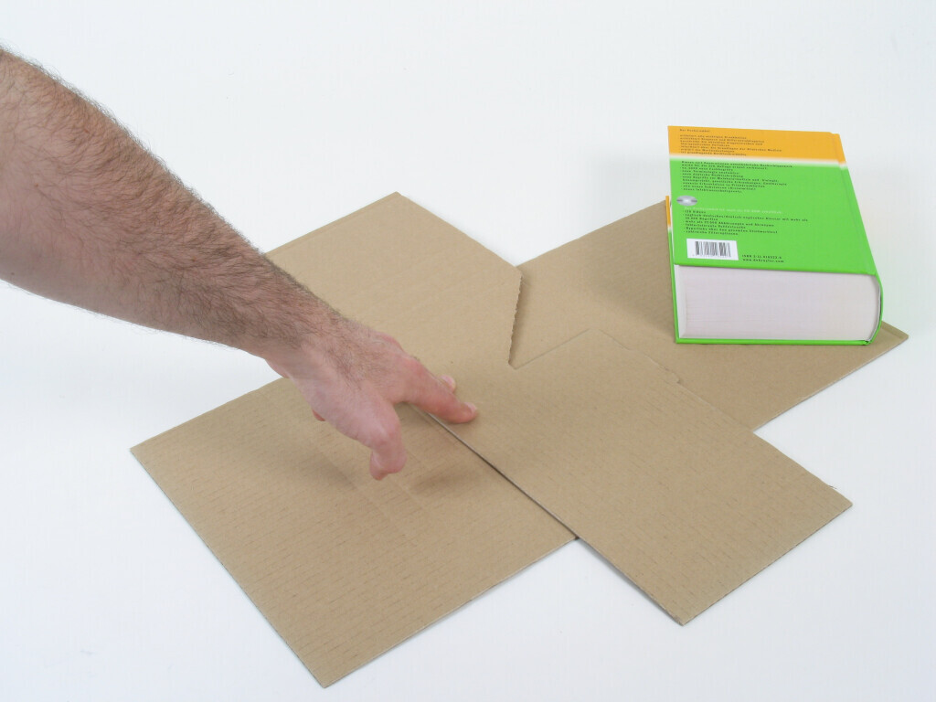 Bilder Kartonfritze Carl Evers GmbH & Co. KG